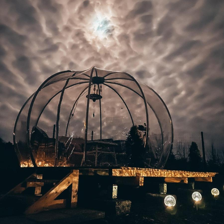 The Wooden Nest -Covasna Villa Eksteriør bilde