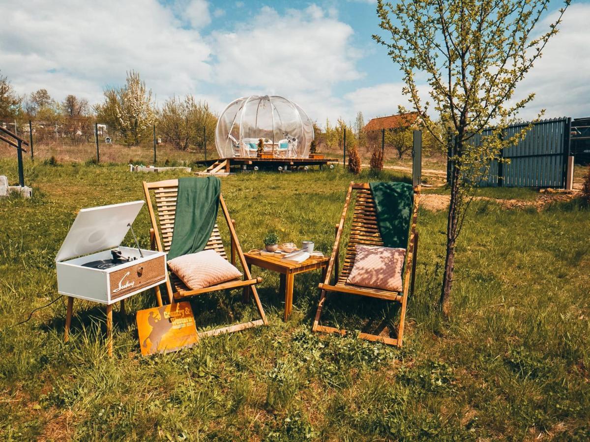The Wooden Nest -Covasna Villa Eksteriør bilde