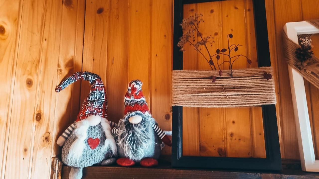 The Wooden Nest -Covasna Villa Eksteriør bilde